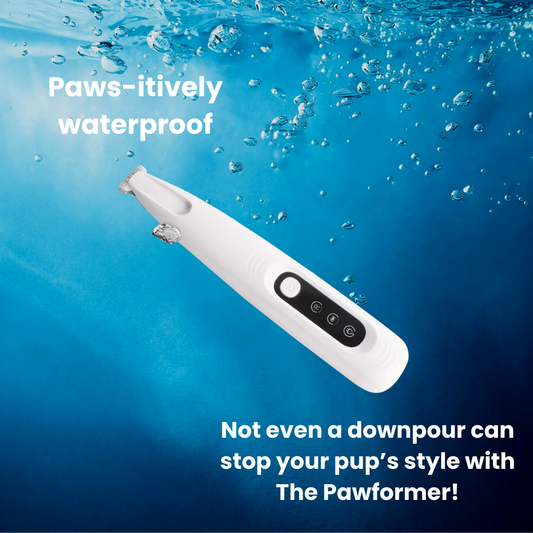 The Pawformer™ Bundle