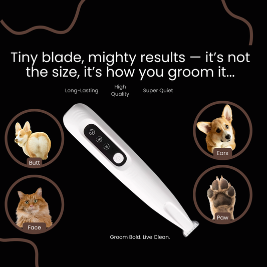 The Pawformer™ Bundle